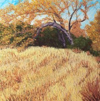 Sierra Foothills, Pallet knife, Wildflowers, Painter, American River, American River Canyon, North Fork American River, 